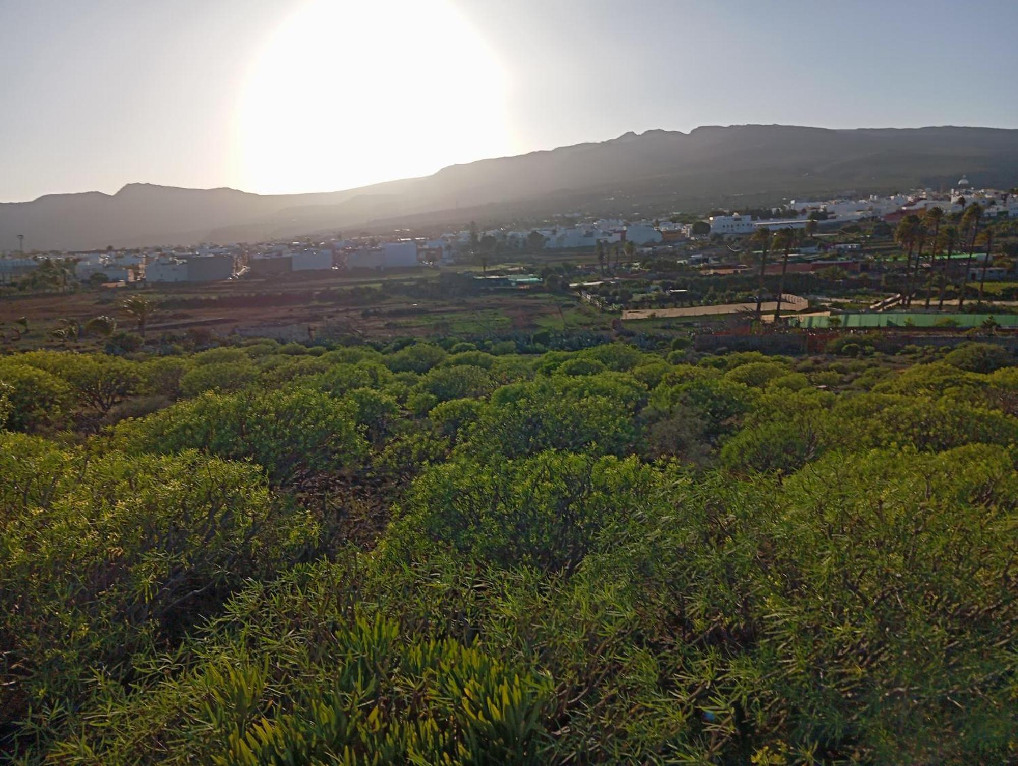 Casa Grande Finca El Calabres Аґуїмес Екстер'єр фото